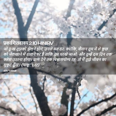 Picture 02 - प्रकाशितवाक्य 2:10 HINIRV - जो दुःख तुझको - Bible Verse Picture