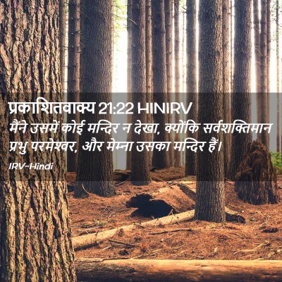 Picture 02 - प्रकाशितवाक्य 21:22 HINIRV - मैंने उसमें कोई - Bible Verse Picture