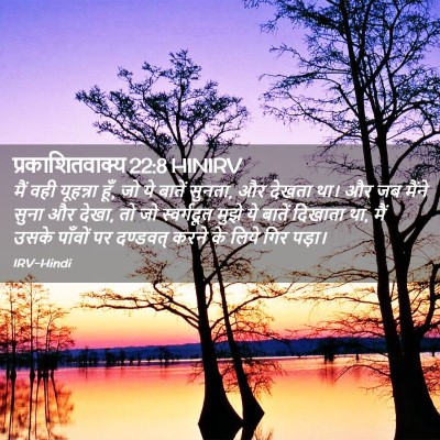 Picture 02 - प्रकाशितवाक्य 22:8 HINIRV - मैं वही यूहन्ना - Bible Verse Picture
