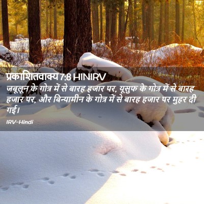 Picture 02 - प्रकाशितवाक्य 7:8 HINIRV - जबूलून के गोत्र - Bible Verse Picture