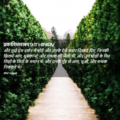 Picture 02 - प्रकाशितवाक्य 9:17 HINIRV - और मुझे इस दर्शन - Bible Verse Picture