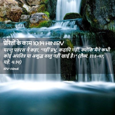 Picture 02 - प्रेरितों के काम 10:14 HINIRV - परन्तु पतरस ने कहा, - Bible Verse Picture