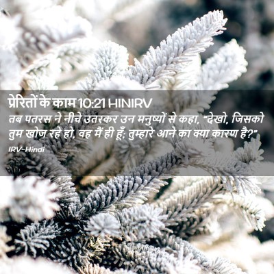 Picture 02 - प्रेरितों के काम 10:21 HINIRV - तब पतरस ने नीचे - Bible Verse Picture