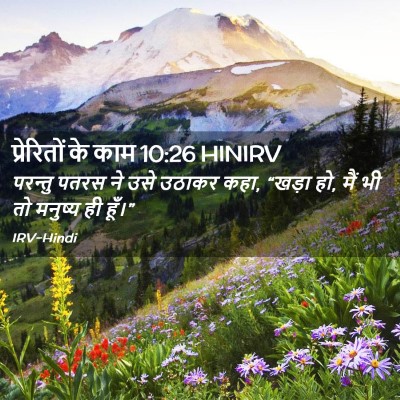 Picture 02 - प्रेरितों के काम 10:26 HINIRV - परन्तु पतरस ने उसे - Bible Verse Picture
