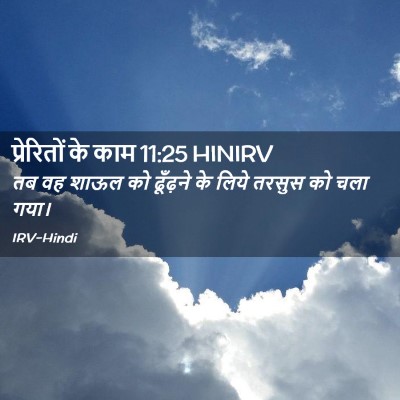 Picture 02 - प्रेरितों के काम 11:25 HINIRV - तब वह शाऊल को - Bible Verse Picture