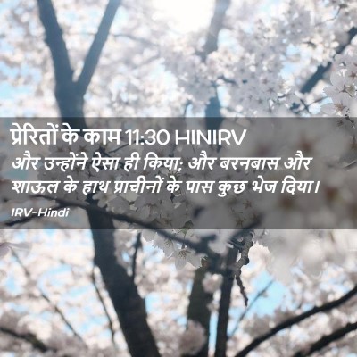 Picture 02 - प्रेरितों के काम 11:30 HINIRV - और उन्होंने ऐसा ही - Bible Verse Picture