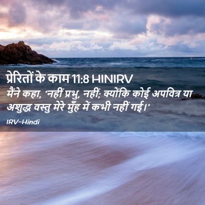 Picture 02 - प्रेरितों के काम 11:8 HINIRV - मैंने कहा, ‘नहीं - Bible Verse Picture