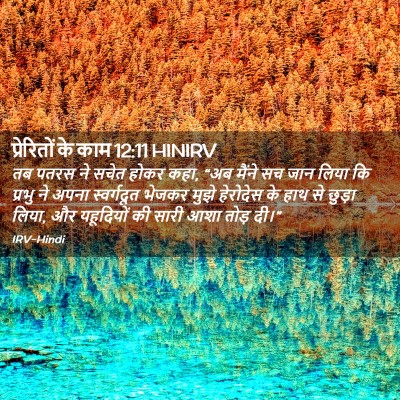 Picture 02 - प्रेरितों के काम 12:11 HINIRV - तब पतरस ने सचेत - Bible Verse Picture