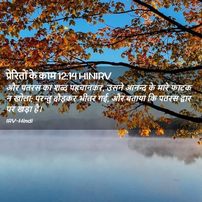 Picture 02 - प्रेरितों के काम 12:14 HINIRV - और पतरस का शब्द - Bible Verse Picture