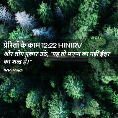 Picture 02 - प्रेरितों के काम 12:22 HINIRV - और लोग पुकार उठे, - Bible Verse Picture