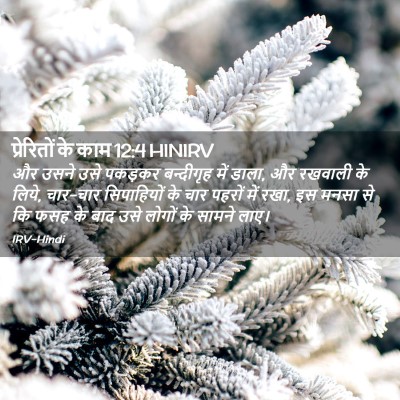 Picture 02 - प्रेरितों के काम 12:4 HINIRV - और उसने उसे पकड़कर - Bible Verse Picture