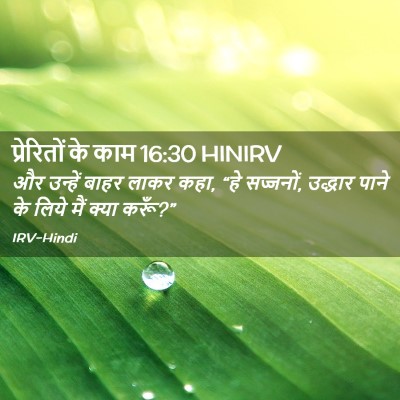 Picture 02 - प्रेरितों के काम 16:30 HINIRV - और उन्हें बाहर - Bible Verse Picture