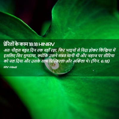 Picture 02 - प्रेरितों के काम 18:18 HINIRV - अतः पौलुस बहुत दिन - Bible Verse Picture