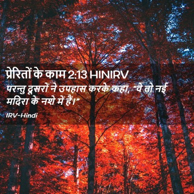 Picture 02 - प्रेरितों के काम 2:13 HINIRV - परन्तु दूसरों ने - Bible Verse Picture