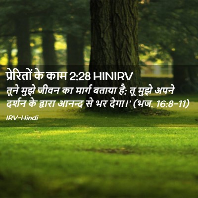 Picture 02 - प्रेरितों के काम 2:28 HINIRV - तूने मुझे जीवन का - Bible Verse Picture