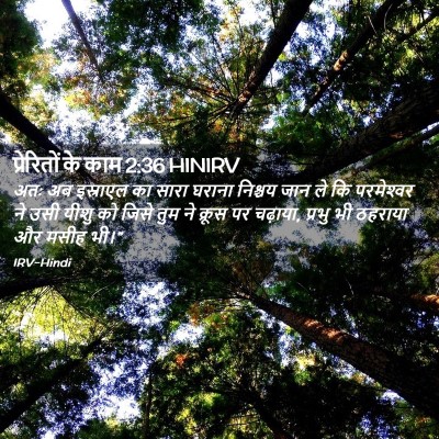 Picture 02 - प्रेरितों के काम 2:36 HINIRV - अतः अब इस्राएल का - Bible Verse Picture