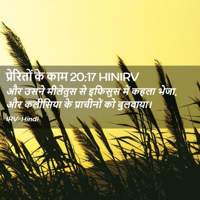 Picture 02 - प्रेरितों के काम 20:17 HINIRV - और उसने मीलेतुस से - Bible Verse Picture