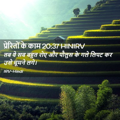 Picture 02 - प्रेरितों के काम 20:37 HINIRV - तब वे सब बहुत रोए - Bible Verse Picture