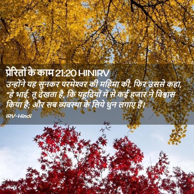 Picture 02 - प्रेरितों के काम 21:20 HINIRV - उन्होंने यह सुनकर - Bible Verse Picture