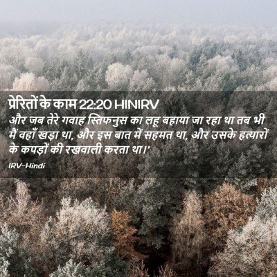 Picture 02 - प्रेरितों के काम 22:20 HINIRV - और जब तेरे गवाह - Bible Verse Picture
