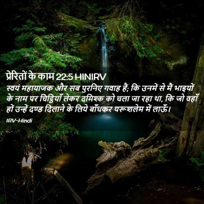 Picture 02 - प्रेरितों के काम 22:5 HINIRV - स्वयं महायाजक और - Bible Verse Picture