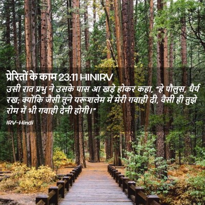 Picture 02 - प्रेरितों के काम 23:11 HINIRV - उसी रात प्रभु ने - Bible Verse Picture