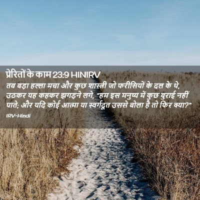 Picture 02 - प्रेरितों के काम 23:9 HINIRV - तब बड़ा हल्ला मचा - Bible Verse Picture