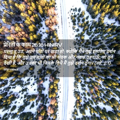 Picture 02 - प्रेरितों के काम 26:16 HINIRV - परन्तु तू उठ, अपने - Bible Verse Picture