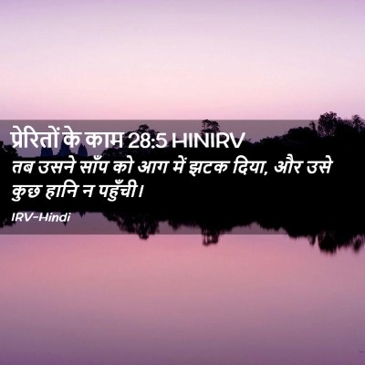 Picture 02 - प्रेरितों के काम 28:5 HINIRV - तब उसने साँप को आग - Bible Verse Picture