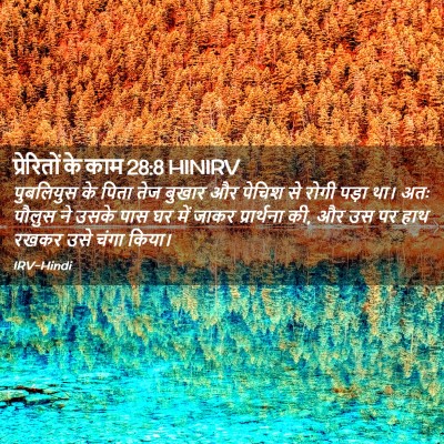 Picture 02 - प्रेरितों के काम 28:8 HINIRV - पुबलियुस के पिता - Bible Verse Picture