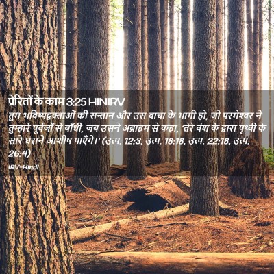 Picture 02 - प्रेरितों के काम 3:25 HINIRV - तुम - Bible Verse Picture