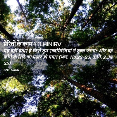Picture 02 - प्रेरितों के काम 4:11 HINIRV - यह वही पत्थर है - Bible Verse Picture