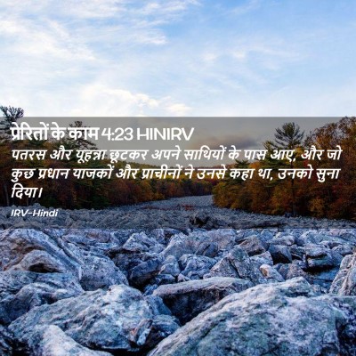Picture 02 - प्रेरितों के काम 4:23 HINIRV - पतरस और यूहन्ना - Bible Verse Picture