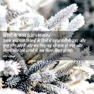 Picture 02 - प्रेरितों के काम 5:37 HINIRV - उसके बाद नाम लिखाई - Bible Verse Picture
