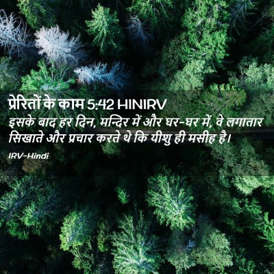 Picture 02 - प्रेरितों के काम 5:42 HINIRV - इसके बाद हर दिन, - Bible Verse Picture