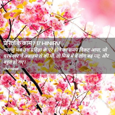 Picture 02 - प्रेरितों के काम 7:17 HINIRV - “परन्तु जब उस - Bible Verse Picture