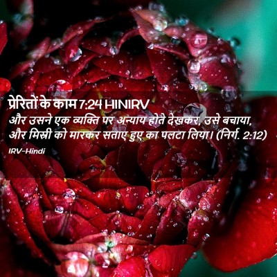 Picture 02 - प्रेरितों के काम 7:24 HINIRV - और उसने एक व्यक्ति - Bible Verse Picture