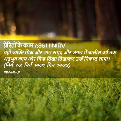 Picture 02 - प्रेरितों के काम 7:36 HINIRV - यही व्यक्ति मिस्र - Bible Verse Picture