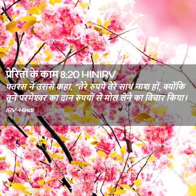Picture 02 - प्रेरितों के काम 8:20 HINIRV - पतरस ने उससे कहा, - Bible Verse Picture