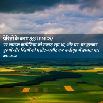 Picture 02 - प्रेरितों के काम 8:3 HINIRV - पर शाऊल कलीसिया को - Bible Verse Picture