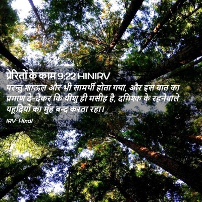 Picture 02 - प्रेरितों के काम 9:22 HINIRV - परन्तु शाऊल और भी - Bible Verse Picture