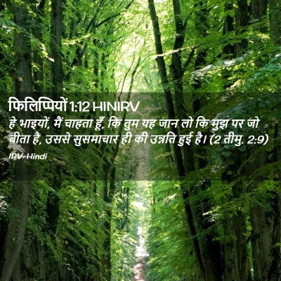 Picture 02 - फिलिप्पियों 1:12 HINIRV - हे भाइयों, मैं - Bible Verse Picture