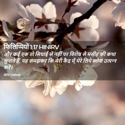 Picture 02 - फिलिप्पियों 1:17 HINIRV - और कई एक तो सिधाई - Bible Verse Picture