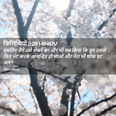 Picture 02 - फिलिप्पियों 2:28 HINIRV - इसलिए मैंने उसे - Bible Verse Picture