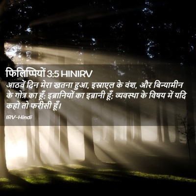 Picture 02 - फिलिप्पियों 3:5 HINIRV - आठवें दिन मेरा - Bible Verse Picture
