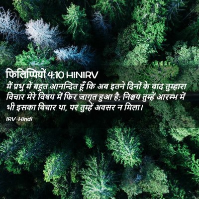 Picture 02 - फिलिप्पियों 4:10 HINIRV - मैं प्रभु में बहुत - Bible Verse Picture