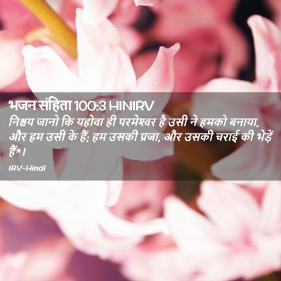 Picture 02 - भजन संहिता 100:3 HINIRV - निश्चय जानो कि - Bible Verse Picture