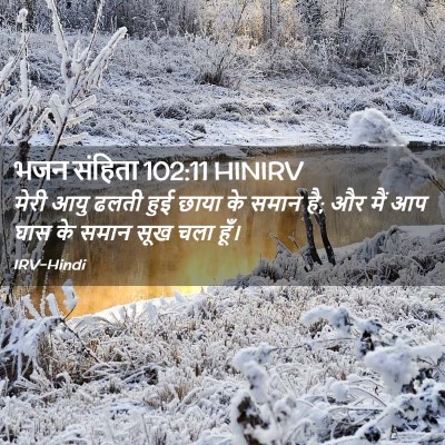 Picture 02 - भजन संहिता 102:11 HINIRV - मेरी आयु ढलती हुई - Bible Verse Picture