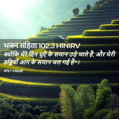 Picture 02 - भजन संहिता 102:3 HINIRV - क्योंकि मेरे दिन - Bible Verse Picture