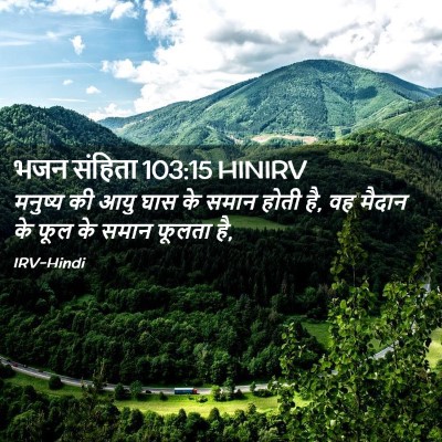 Picture 02 - भजन संहिता 103:15 HINIRV - मनुष्य की आयु घास - Bible Verse Picture